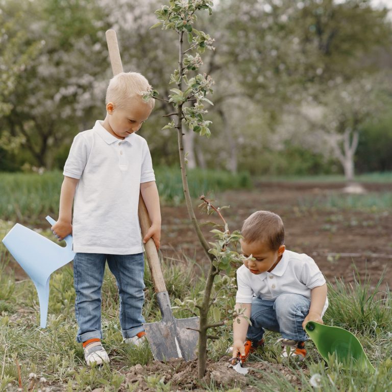 cute-little-boys-planting-tree-on-park